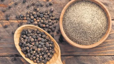 Karabiber bağışıklığı güçlendiriyor – Sağlık Haberleri