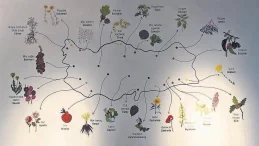 Ne ararsan Anadolu’da var – Cumartesi Sabah Haberleri